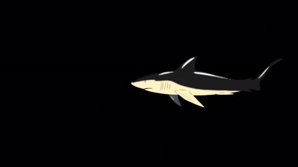 Black Shark Swim Handmade Animated Footage Isolated Alpha Channel — Stock Video