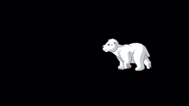 Oso Polar Cachorro Imágenes Animadas Hechas Mano Aisladas Con Canal — Vídeos de Stock