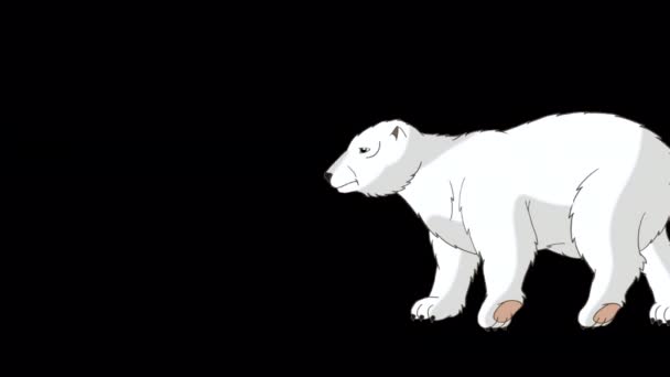Белый Медведь Ручная Анимация Изолированная Альфа Каналом — стоковое видео