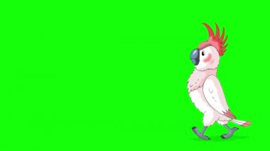 Pembe papağan gelip gidiyor. Canlandırılmış 4K görüntüsü yeşil ekranda izole edildi.
