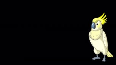Sarı papağan gelir ve gider. Canlandırılmış 4K görüntüsü alfa kanalı ile izole edildi. 
