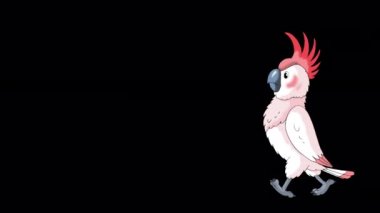 Pembe papağan gelip gidiyor. Canlandırılmış 4K görüntüsü alfa kanalı ile izole edildi. 