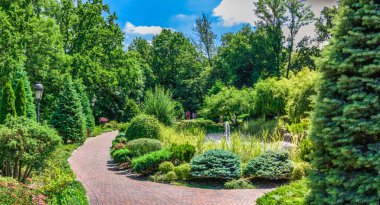 Kyiv, Ukrayna 07.10.2020. Güneşli bir yaz gününde, Ukrayna 'nın başkenti Kyiv' deki Mezhyhirya Konutu 'ndaki Honka evinin yanındaki halk parkında.