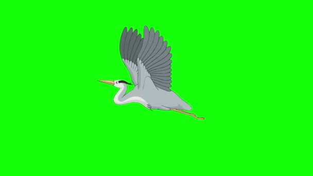 Heron Flies Handmade Animated Looped Footage Isolated Green Screen — Stock Video