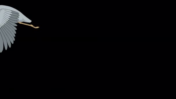 Цапля Летит Ручной Анимационный Зацикленный Материал Изолированный Альфа Каналом — стоковое видео