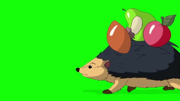 ハリネズミが歩き リンゴとキノコを運びます 緑の画面に隔離された手作りアニメーションループ映像 — ストック動画