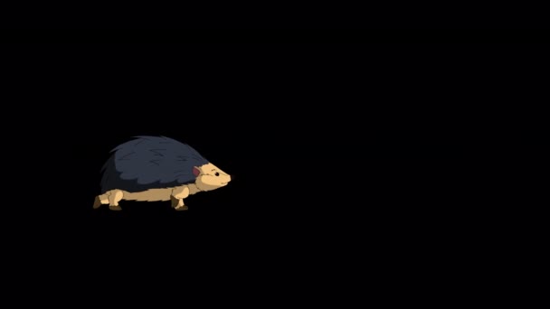 Hedgehog Walks Back Forth Handmade Animated Looped Footage Isolated Alpha — Stock Video