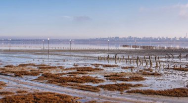 Soğuk bir kış sabahı Ukrayna 'nın Odessa kenti yakınlarındaki tuzlu, kuru bir göle kurulmuş.