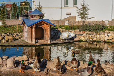 Marinovka Köyü, Ukrayna 02.01.2021. Güneşli bir kış gününde Ukrayna Ortodoks Kilisesi Odessa Piskoposluğu Kutsal Doruk Manastırı 'nın kutsal koruma çizimi