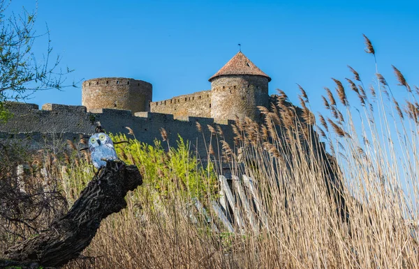 2021 Bilhorod Dnistrovskyi Nebo Pevnost Akkerman Oblast Odessa Ukrajina Slunného — Stock fotografie