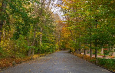 Güneşli bir sonbahar gününde Uman, Ukrayna 'daki Sofievsky ya da Sofiyivsky Parkı' nda