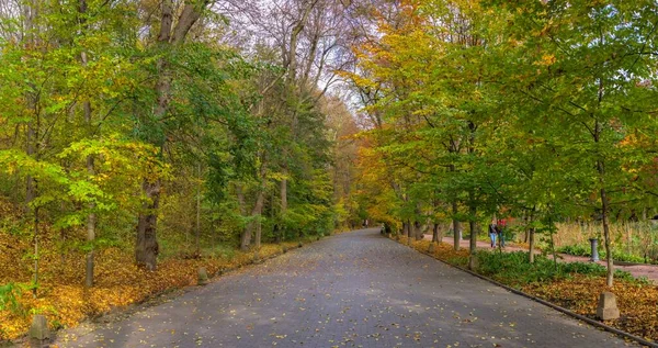 Beco Arboreto Sofievsky Parque Sofiyivsky Uman Ucrânia Dia Ensolarado Outono — Fotografia de Stock