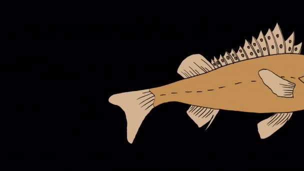 Большая Коричневая Рыба Плавает Ручной Анимационный Зацикленный Материал Изолированный Альфа — стоковое видео