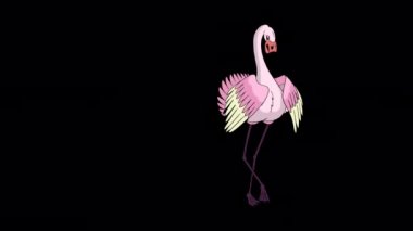 Pembe flamingo dansı. Alfa kanalı ile izole edilmiş el yapımı HD görüntüler. 