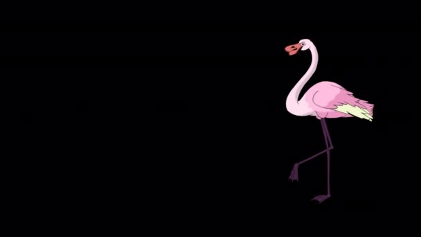 Pink Flamingo Walking Looking Food Handmade Animated Looped Footage Isolated — Stock Video