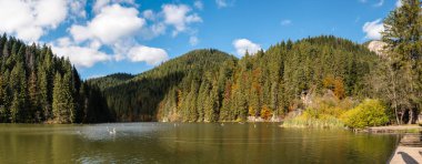 Kızıl Göl, Romanya 'nın Doğu Karpatya Dağları' ndaki çarpıcı bir baraj gölü. Bereketli ormanlar, sonbahar renkleri ve bulutlu mavi gökyüzü. 