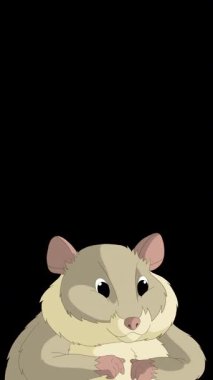 Çizgi film tarzı gri bir hamster. Alfa kanalında el yapımı 2D animasyon HD görüntüler izole edildi. Video düzenleme veya vahşi yaşam projeleri için dikey görüntüler