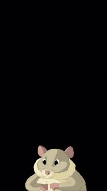Çizgi film tarzı gri bir hamster. El yapımı 2D animasyon 4K görüntü alfa kanalında izole edildi. Video düzenleme veya vahşi yaşam projeleri için dikey görüntüler