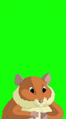 Çizgi film tarzı kızıl bir hamster. El yapımı 2D animasyon HD görüntüler yeşil ekranda izole edildi. Video düzenleme veya vahşi yaşam projeleri için dikey görüntüler