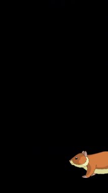 Çizgi film tarzı kızıl bir hamster. Alfa kanalında el yapımı 2D animasyon HD görüntüler izole edildi. Video düzenleme veya vahşi yaşam projeleri için dikey görüntüler