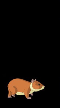 Çizgi film tarzı kızıl bir hamster. Alfa kanalında el yapımı 2D animasyon HD görüntüler izole edildi. Video düzenleme veya vahşi yaşam projeleri için dikey görüntüler