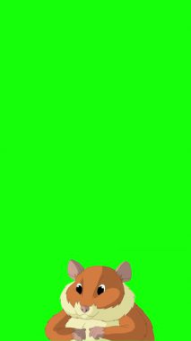 Çizgi film tarzı kızıl bir hamster. El yapımı 2D animasyon 4K görüntü yeşil ekranda izole edildi. Video düzenleme veya vahşi yaşam projeleri için dikey görüntüler
