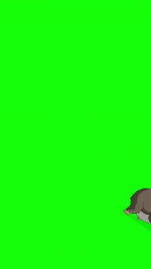 A cartoon-style brownish gray hamster. Handmade 2D animated HD footage isolated on green screen. Vertical footage for video editing or wildlife projects