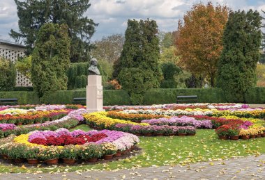 Iasi, Romanya - 23 Ekim 2025. Geniş camdan bir sera kulesi, canlı sonbahar çiçek yataklarının ve tarihi Anastasie Fatu Botanik Bahçesi 'nde süslü lahana vitrinlerinin arkasında yükseliyor.