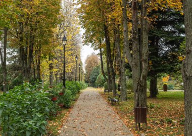 Iasi, Romanya - 23 Ekim 2025. Geniş camdan bir sera kulesi, canlı sonbahar çiçek yataklarının ve tarihi Anastasie Fatu Botanik Bahçesi 'nde süslü lahana vitrinlerinin arkasında yükseliyor.