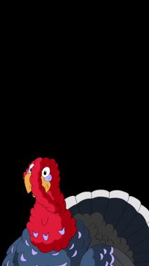 Çizgi film tarzı hindi kuşu. Alfa kanalında el yapımı 2D animasyon HD görüntüler izole edildi. Video düzenleme veya vahşi yaşam projeleri için dikey görüntüler