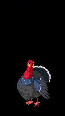 Çizgi film tarzı hindi kuşu. Alfa kanalında el yapımı 2D animasyon HD görüntüler izole edildi. Video düzenleme veya vahşi yaşam projeleri için dikey görüntüler