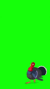 Çizgi film stili zürafa. El yapımı 2D animasyon HD görüntüler yeşil ekranda izole edildi. Video düzenleme veya vahşi yaşam projeleri için dikey görüntüler