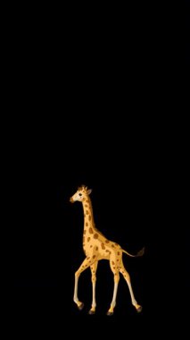 Çizgi film stili zürafa. Alfa kanalında el yapımı 2D animasyon HD görüntüler izole edildi. Video düzenleme veya vahşi yaşam projeleri için dikey görüntüler