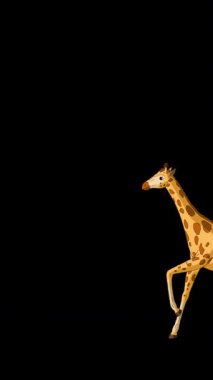 Çizgi film stili zürafa. Alfa kanalında el yapımı 2D animasyon HD görüntüler izole edildi. Video düzenleme veya vahşi yaşam projeleri için dikey görüntüler