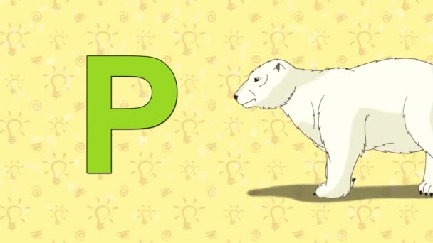 Urso polar. Alfabeto inglês ZOO - letra P — Vídeo de Stock