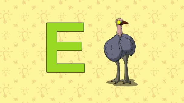 Emu. English ZOO Alphabet - letter E — Stock Video