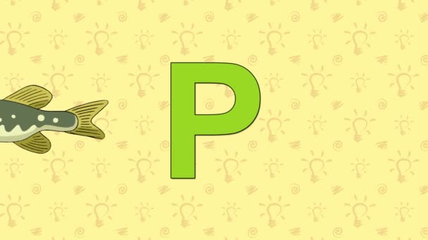 Pike. English ZOO Alphabet - letter P — Stock Video