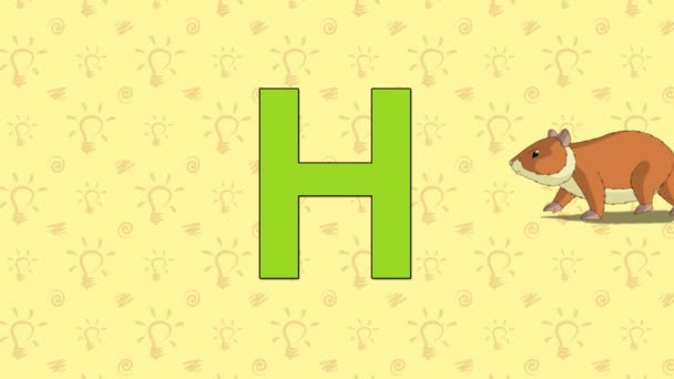 ハムスター。動物園アルファベットの文字 H — ストック動画