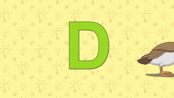 Duck. English ZOO Alphabet - letter D — Stock Video