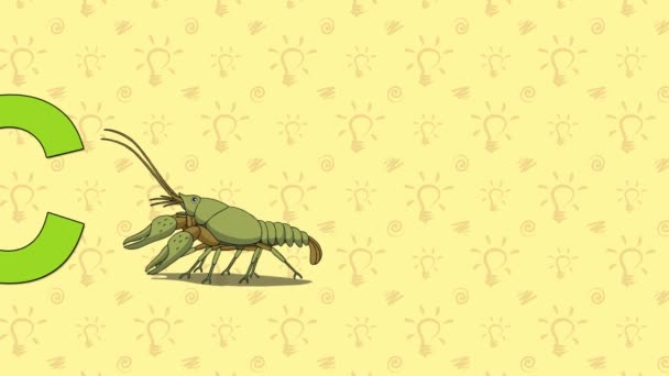 Crayfish. English ZOO Alphabet - letter C — Stock Video