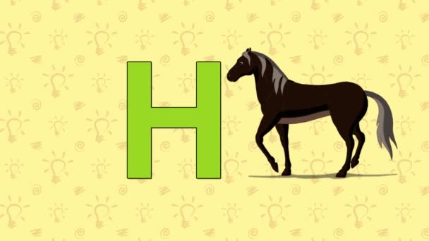 Horse. English ZOO Alphabet - letter H — Stock Video