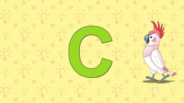 Cacatúa. Inglés ZOO Alphabet - letra C — Vídeos de Stock