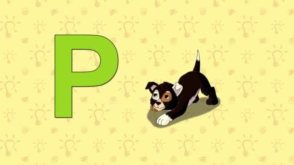 Cachorro. Inglés ZOO Alphabet - letra P — Vídeo de stock