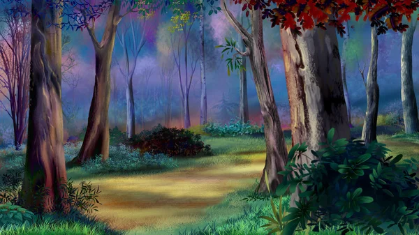 Günbatımı üzerinde sihirli orman — Stok fotoğraf