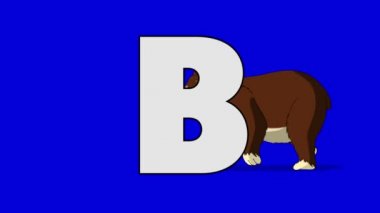 B harfi ve ayı (arka plan)