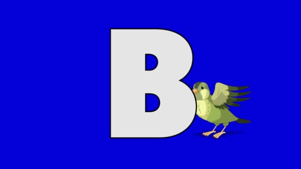 Letter B en vogel (achtergrond) — Stockvideo