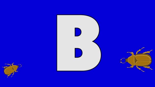 Letter B en kever (voorgrond) — Stockvideo
