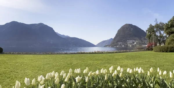 Lugano, Parco Ciani, şehir Bahçe — Stok fotoğraf