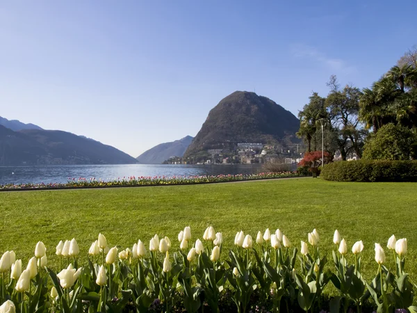 Lugano, Parco Ciani, zahradní město — Stock fotografie