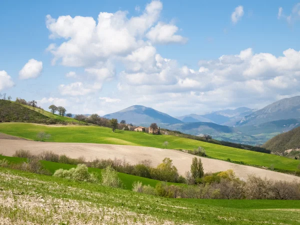 Panorama of the Apennine — Stock Photo, Image